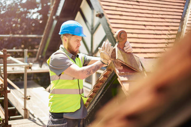 Roof Gutter Cleaning in Santa Clarita, CA